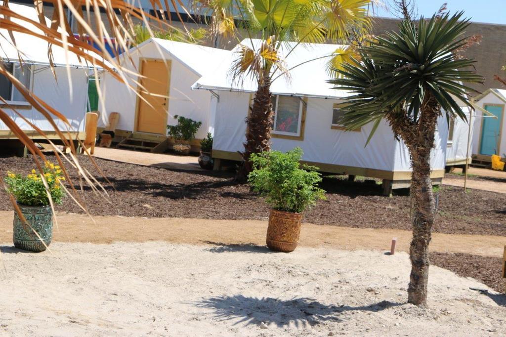 Camp Coyoacan ポート・アランサス エクステリア 写真