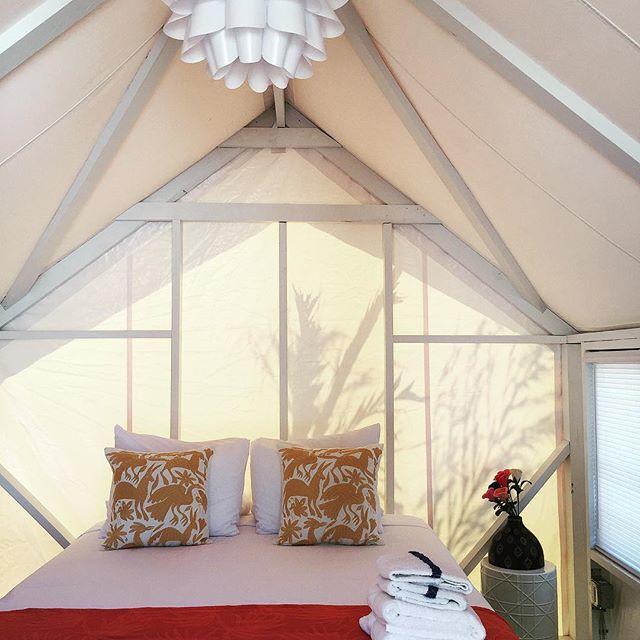 Camp Coyoacan ポート・アランサス エクステリア 写真